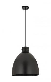 Newton Sphere - 1 Light - 16 inch - Matte Black - Cord hung - Pendant (3442|410-1PL-BK-M412-16BK)