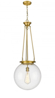 Beacon - 1 Light - 16 inch - Satin Gold - Chain Hung - Pendant (3442|221-1P-SG-G204-16)