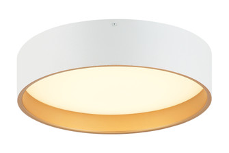 Novalee Flush Mounts (3605|M10115MW)