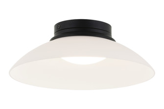 LUNA Flush Mounts (3605|M16401MBFR)