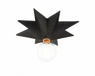 Astro 12'' Black Flush Mount (205|9230-BK)