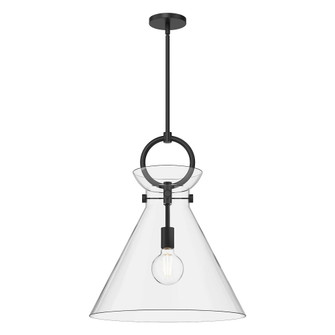 Emerson 18-in Matte Black/Clear Glass 1 Light Socket Pendant (7713|PD412518MBCL)