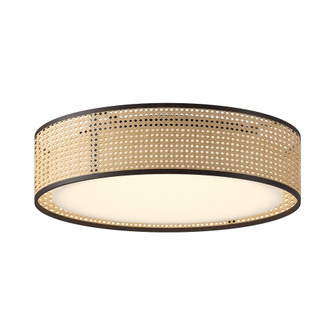 Lyla 20-in Rattan LED Flush Mount (7713|FM479020RB)