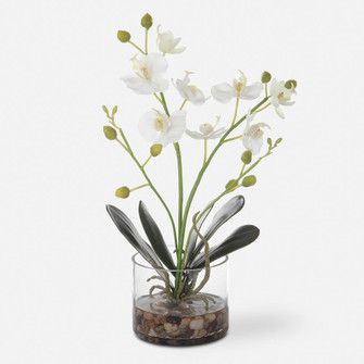 Uttermost Glory Orchid (85|60201)