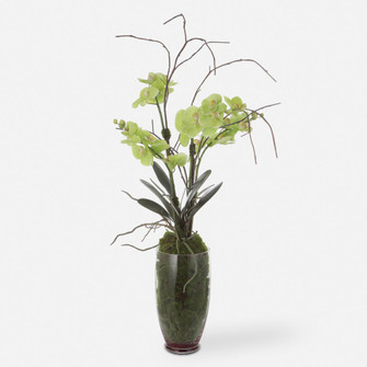 Uttermost Valdive Orchid (85|60199)