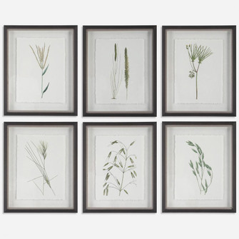 Uttermost Forest Finds Framed Prints Set/6 (85|41459)