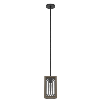 Hunter Chevron Rustic Iron and French Oak with Seeded Glass 1 Light Pendant Ceiling Light Fixture (4797|19973)