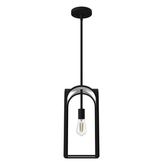 Hunter Dukestown Natural Black Iron and Silver Leaf 1 Light Pendant Ceiling Light Fixture (4797|19738)