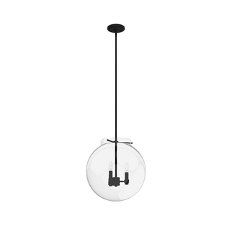 Hunter Sacha Natural Black Iron with Clear Glass 3 Light Pendant Ceiling Light Fixture (4797|19658)