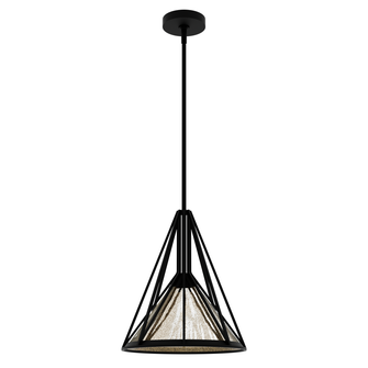 Hunter Rafner Natural Black Iron with Mercury Glass Glass 1 Light Pendant Ceiling Light Fixture (4797|19451)