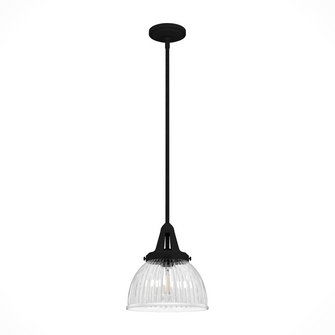 Hunter Cypress Grove Natural Black Iron with Clear Holophane Glass 1 Light Pendant Ceiling Light Fix (4797|19247)