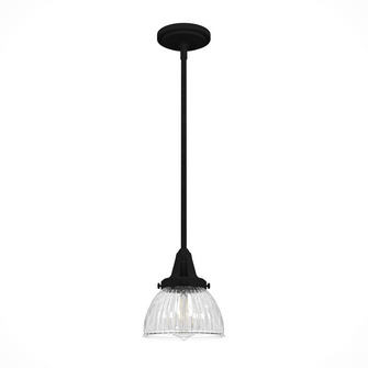 Hunter Cypress Grove Natural Black Iron with Clear Holophane Glass 1 Light Pendant Ceiling Light Fix (4797|19229)
