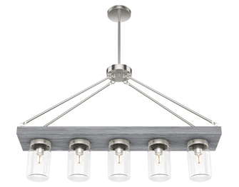 Hunter Devon Park Brushed Nickel and Grey Wood with Clear Glass 5 Light Chandelier Ceiling Light Fix (4797|19007)