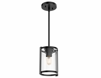 Hunter Astwood Matte Black with Clear Glass 1 Light Pendant Ceiling Light Fixture (4797|19005)