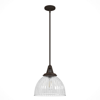 Hunter Cypress Grove Onyx Bengal with Clear Holophane Glass 1 Light Pendant Ceiling Light Fixture (4797|19250)