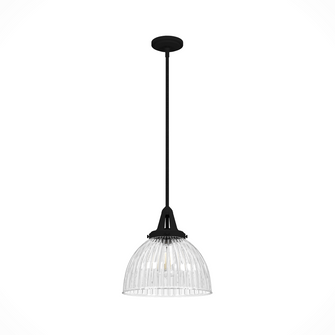 Hunter Cypress Grove Natural Black Iron with Clear Holophane Glass 1 Light Pendant Ceiling Light Fix (4797|19249)