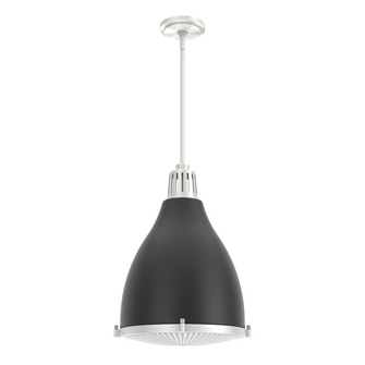 Hunter Bluff View Flat Matte Black and Brushed Nickel with Clear Holophane Glass 3 Light Pendant Cei (4797|19212)