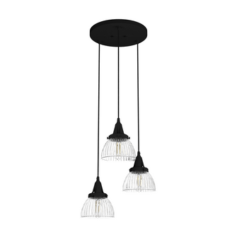 Hunter Cypress Grove Natural Black Iron with Clear Holophane Glass 3 Light Pendant Cluster Ceiling L (4797|19174)