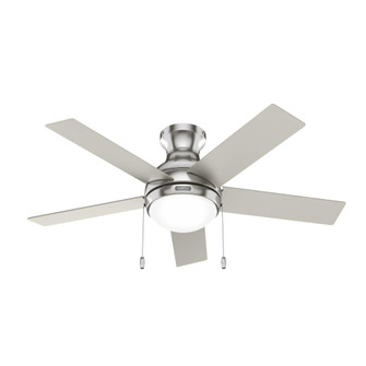 Hunter 44 inch Aren Brushed Nickel Low Profile Ceiling Fan with LED Light Kit and Pull Chain (4797|51449)