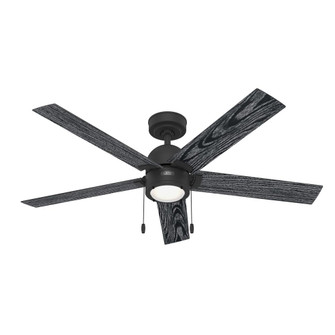 Hunter 52 inch Erling Matte Black Ceiling Fan with LED Light Kit and Pull Chain (4797|51760)