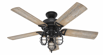 Hunter 52 inch Starklake Natural Black Iron Damp Rated Ceiling Fan with LED Light Kit and Pull Chain (4797|50409)