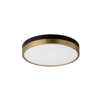 Dapper-Flush Mount (19|59702WTBKAB)