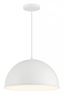 1 LIGHT HANGING DOME (10|6203-44)