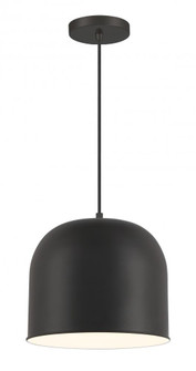 1 LIGHT PENDANT (10|6202-66A)