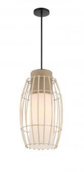 Watermill  - 1 Light Pendant (10|1104-66A)