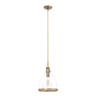 Hunter Van Nuys Alturas Gold with Clear Glass 1 Light Pendant Ceiling Light Fixture (4797|19345)