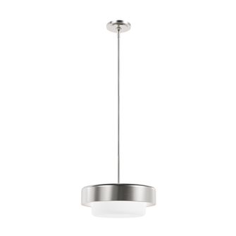 Hunter Station Brushed Nickel with Frosted Cased White Glass 2 Light Pendant Ceiling Light Fixture (4797|19272)