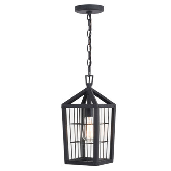 Gage 7-in Black Outdoor Farmhouse Wire Cage Pendant, 1-Light Hanging Ceiling Light with Clear Glass  (51|T0590)