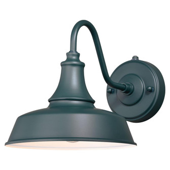 Dorado 9-in Outdoor Wall Light Hunter Green and White (51|T0482)