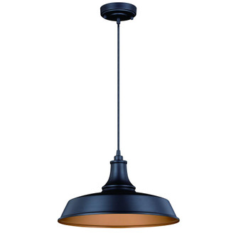 Dorado 15-in Outdoor Pendant Dark Bronze and Light Gold (51|T0373)
