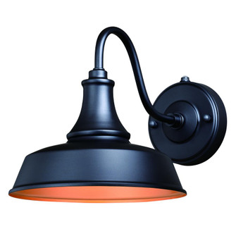 Dorado 9-in Outdoor Wall Light Dark Bronze and Light Gold (51|T0367)
