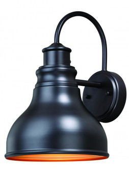 Delano 9-in Outdoor Wall Light Oil Burnished Bronze and Light Gold (51|T0316)