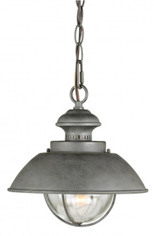 Harwich 10-in Outdoor Pendant Textured Gray (51|T0265)