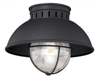 Harwich 10-in Outdoor Flush Mount Ceiling Light Textured Black (51|T0142)