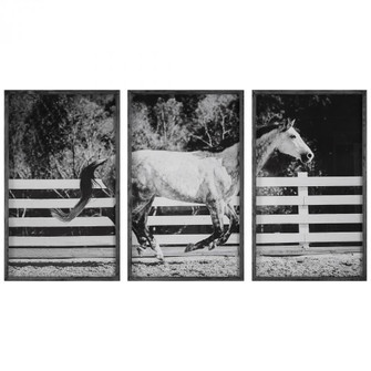 Uttermost Galloping Forward Equine Prints, Set/3 (85|32279)