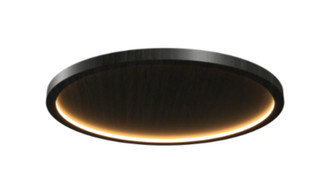 Naiá Accord Ceiling 5096 LED (9485|5096LED.44)