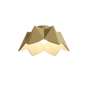 Physalis Accord Ceiling Mounted 5092 (9485|5092.45)