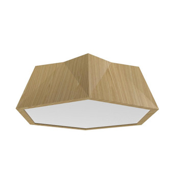 Physalis Accord Ceiling Mounted 5063 LED (9485|5063LED.45)