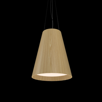 Conical Accord Pendant 1146 (9485|1146.45)