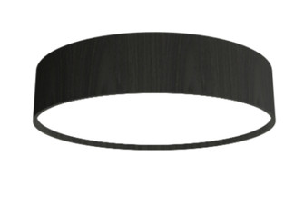 Cylindrical Accord Ceiling Mounted 529 LED (9485|529LED.44)