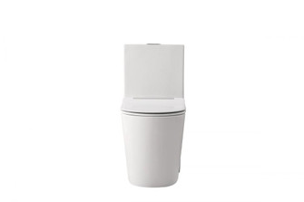 Winslet One-piece elongated Toilet 28x15x31 in White (758|TOL2004)