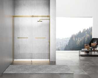 Frameless shower door 60 x 76 Brushed Gold (758|SD202-6076BGD)