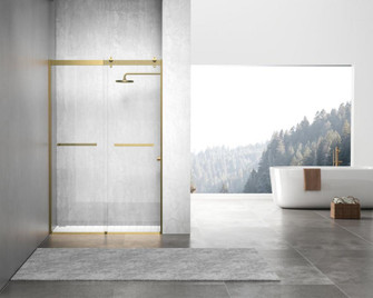 Frameless shower door 48 x 76 Brushed Gold (758|SD202-4876BGD)