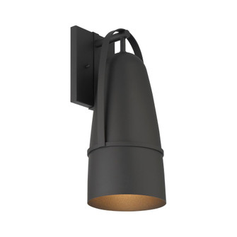Rue 18 in. 1-Light Black Modern Outdoor Wall Lantern with Dark Sky Metal Shade (21|D302M-7EW-BK)