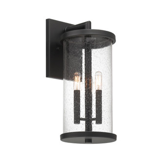 Otto 18.75 in. 3-Light Matte Black Modern Outdoor Wall Lantern with Clear Seedy Glass Shade (21|D298C-8EW-MB)