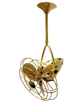 Jarold Direcional ceiling fan in Brushed Brass finish with metal blades. (230|JD-BRBR-MTL)